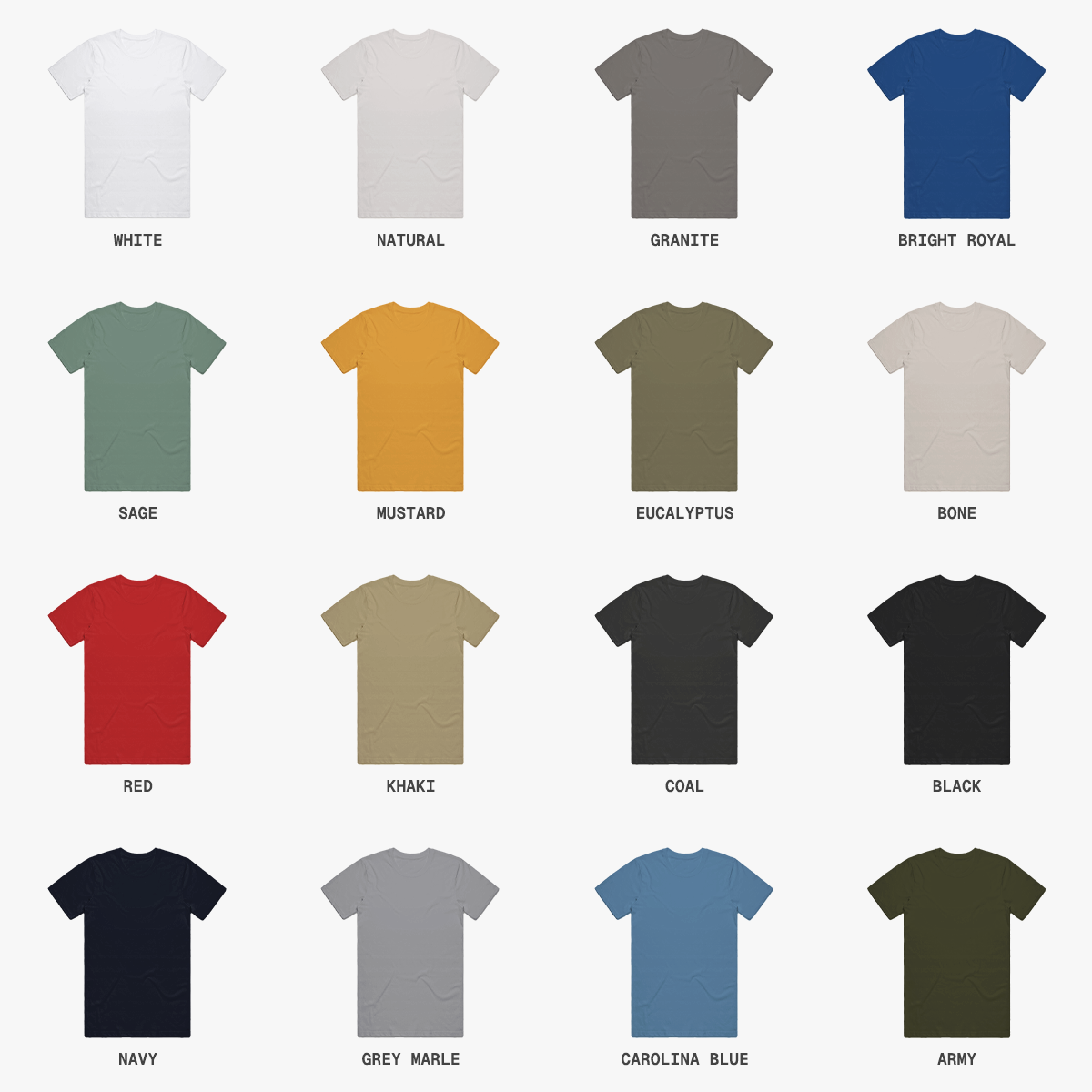 Basic T-Shirt